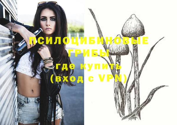ECSTASY Абинск