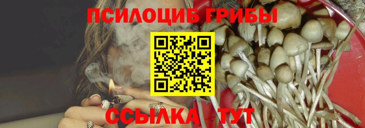 Галлюциногенные грибы прущие грибы Донской